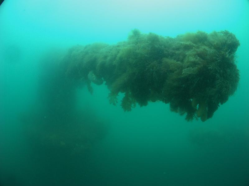 torpedo v 83_32.jpg - ScapaFlow: Torpedo 2007 Antoine Bélec